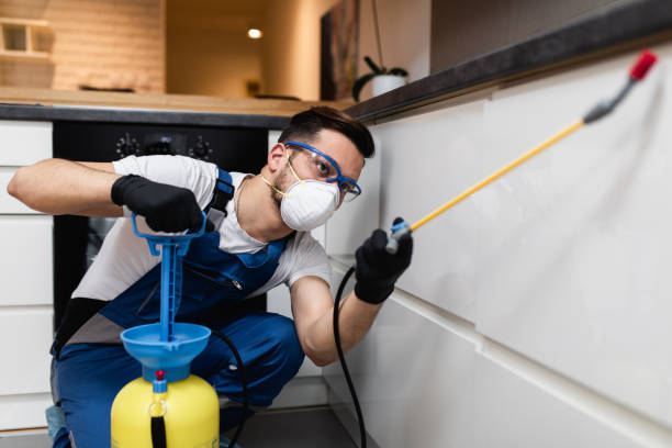 Best Pest Removal Services  in Beverly Hills, CA