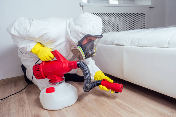 Best Mosquito Control Services  in Beverly Hills, CA