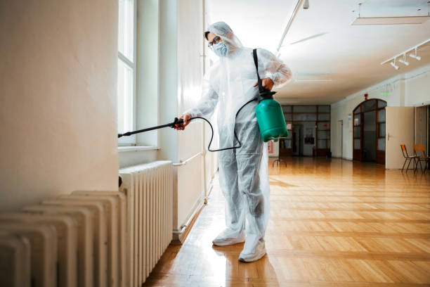 Best Pest Control Near Me  in Beverly Hills, CA